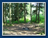 Klicken zum vergr�ssern